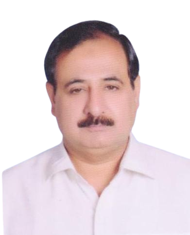 Senior Vice Chairman